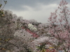img0028.jpg