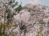 img0032.jpg
