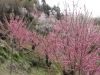 img0033.jpg