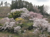 img0034.jpg