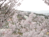 img0038.jpg
