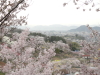 img0039.jpg