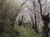 img0040.jpg