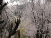 img0041.jpg