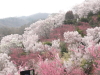 img0043.jpg