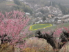 img0046.jpg