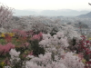 img0047.jpg