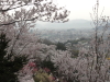 img0048.jpg