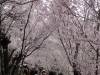img0052.jpg