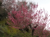 img0053.jpg
