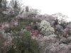 img0054.jpg