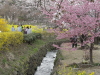 img0055.jpg