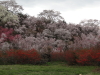 img0056.jpg