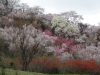 img0057.jpg