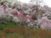 img0059.jpg