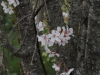 img0060.jpg