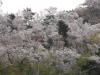 img0062.jpg