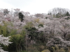 img0064.jpg