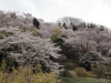 img0065.jpg