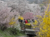 img0066.jpg