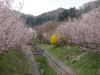 img0068.jpg