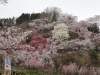 img0073.jpg