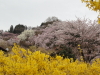 img0075.jpg