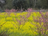 img0077.jpg