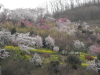 img0079.jpg