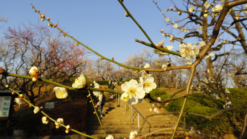 img0007.jpg