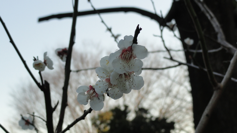 img0014.jpg