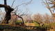 img0001.jpg