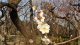 img0002.jpg