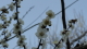 img0013.jpg