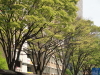img0005.jpg