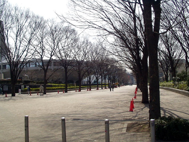 img0007.jpg