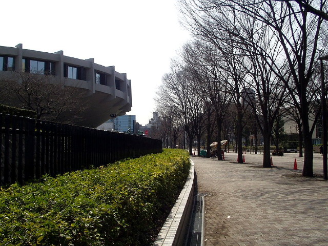 img0010.jpg