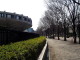 img0010.jpg