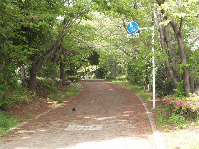 img0022.jpg