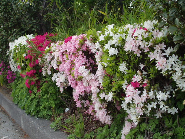 img0024.jpg
