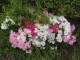 img0023.jpg