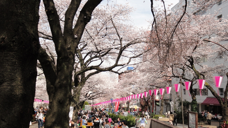 img0005.jpg
