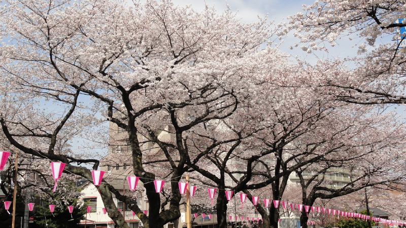 img0006.jpg