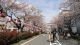 img0003.jpg