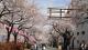 img0004.jpg