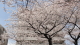 img0007.jpg