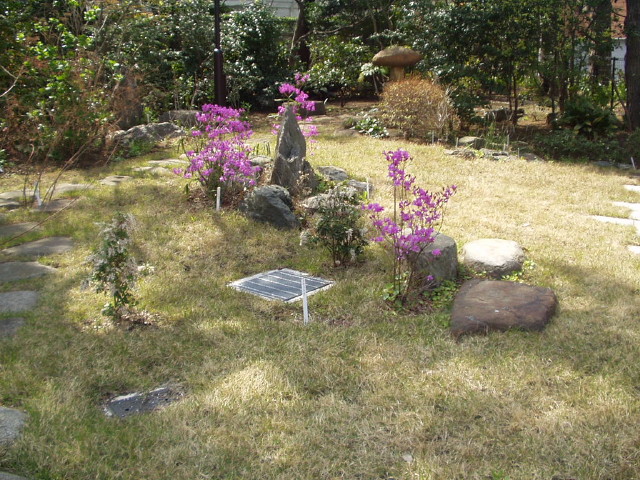img0007.jpg