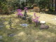 img0007.jpg