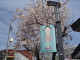 img0008.jpg