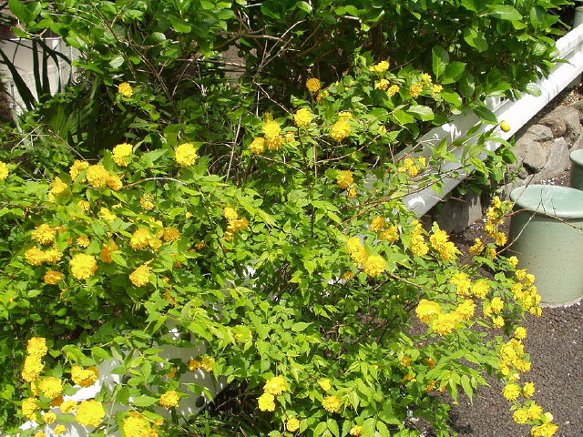 img0002.jpg